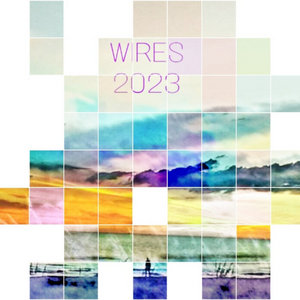 Voyager One — Wires 2023