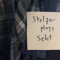 Stelzer Plays Seht cover art