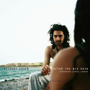 After The Big Rain cover