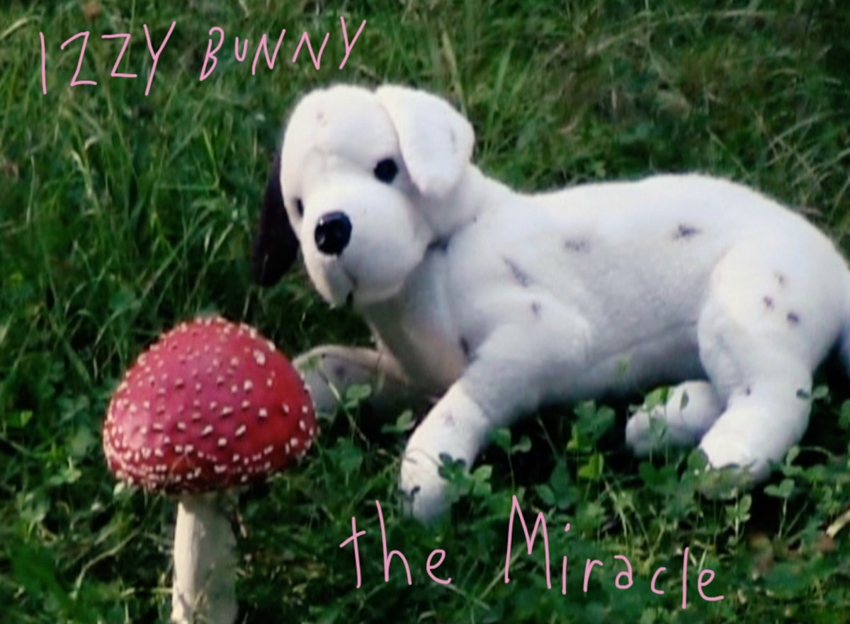 The Miracle izzy bunny
