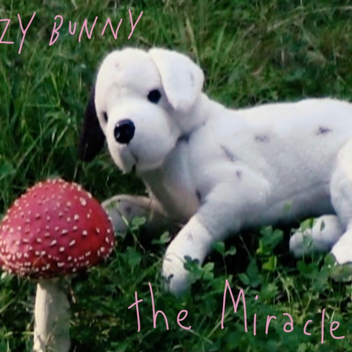 The Miracle izzy bunny