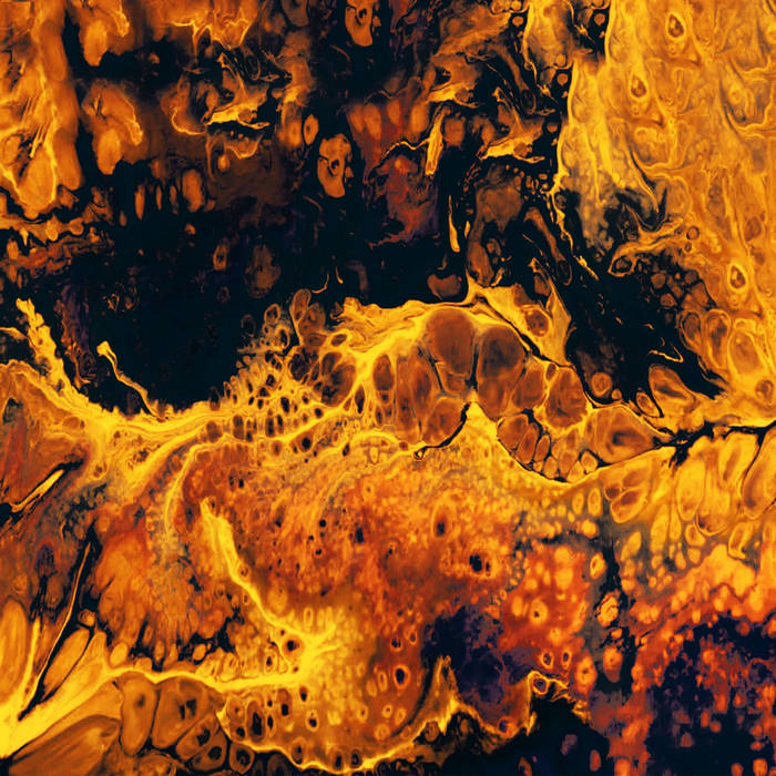 WXL First Wave | Various Artists | Wäxxel