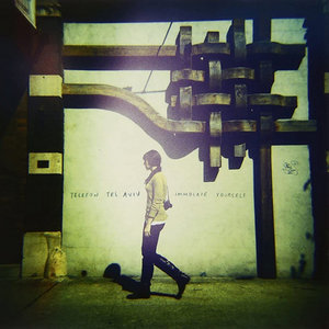 The Birds (Blake Jarrell Remix) cover