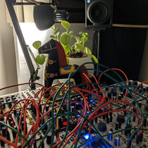 Modular Sessions 2019-2020 cover art