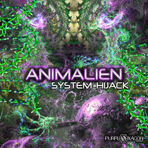 System Hijack cover art
