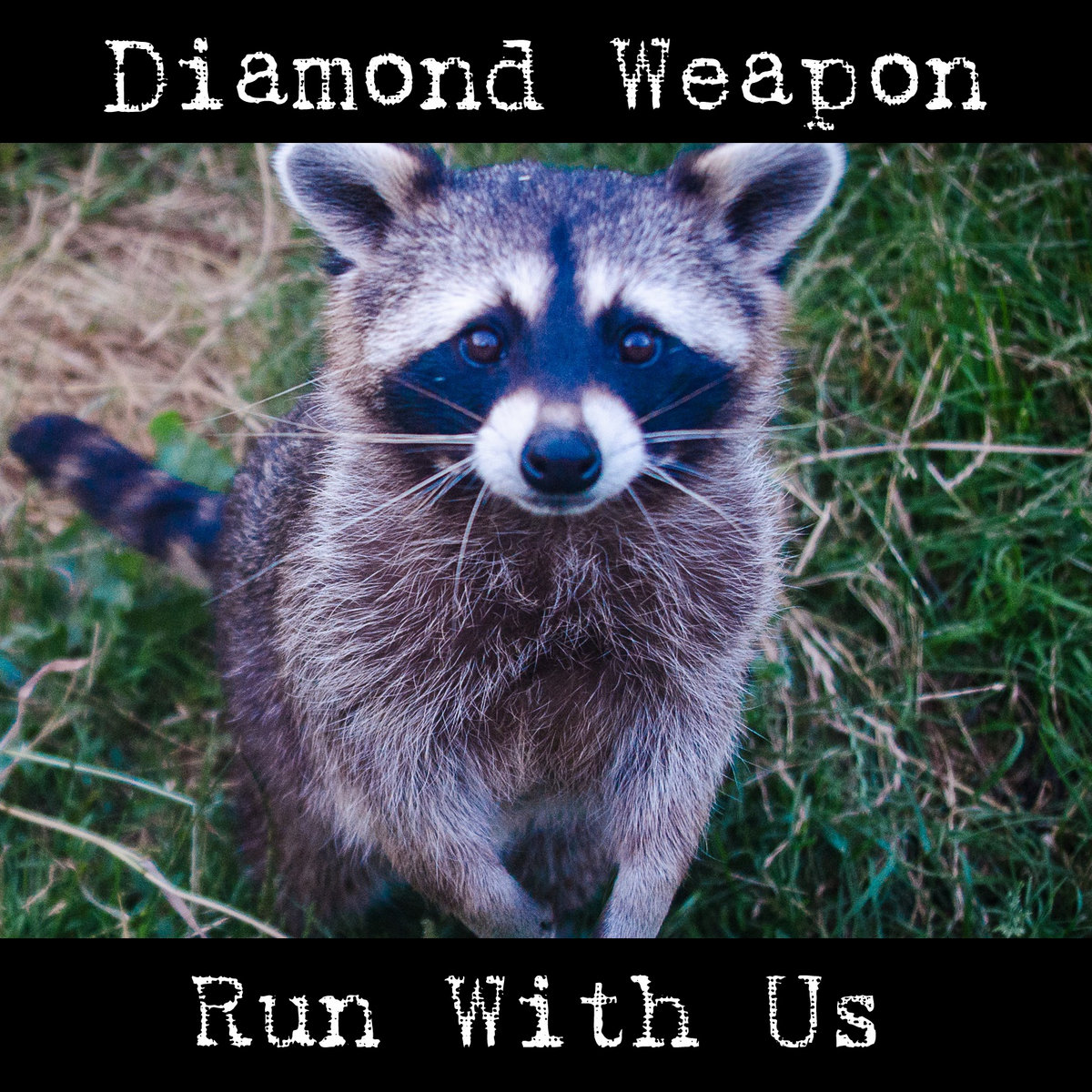 Run With Us Diamond Weapon Run With Us Diamond Weapon