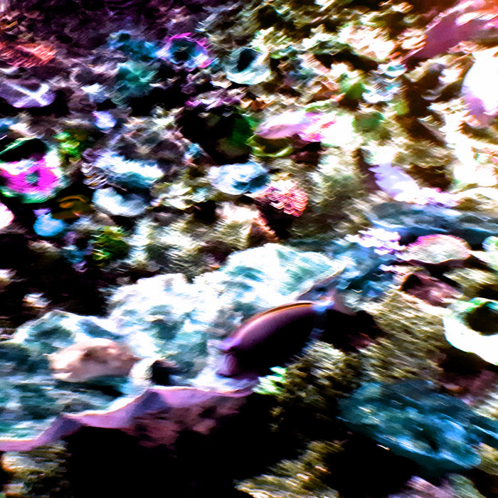 Swim Lanes EP | Swim Lanes