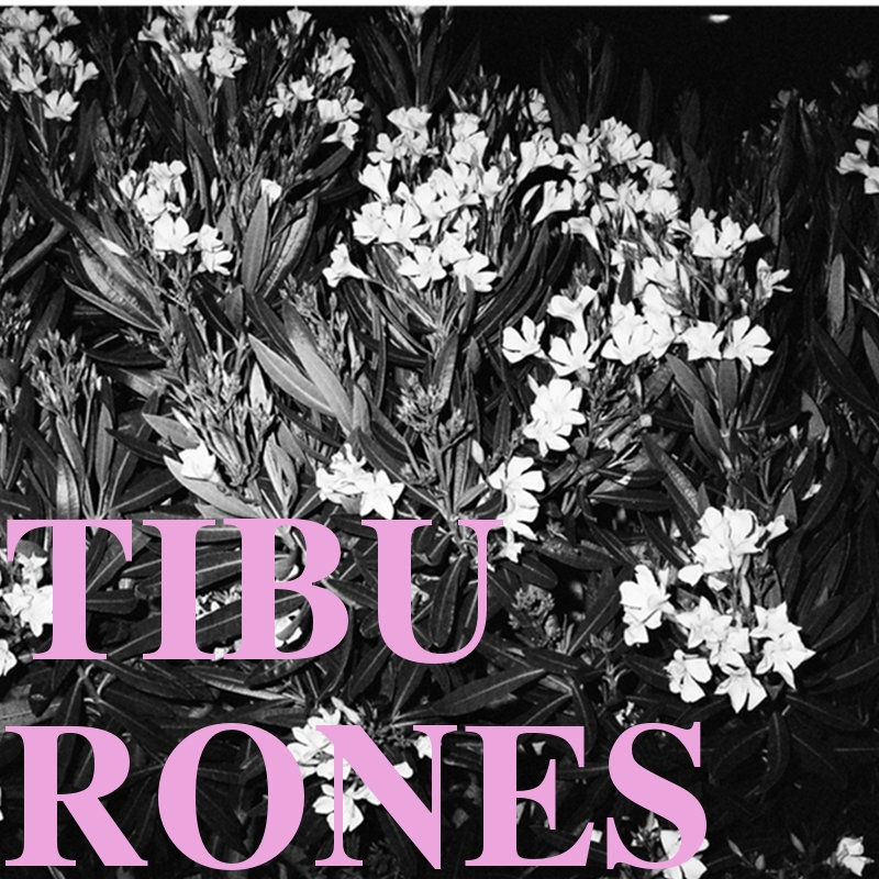 Tibu Rones Tibu Rones | TIBU RONES