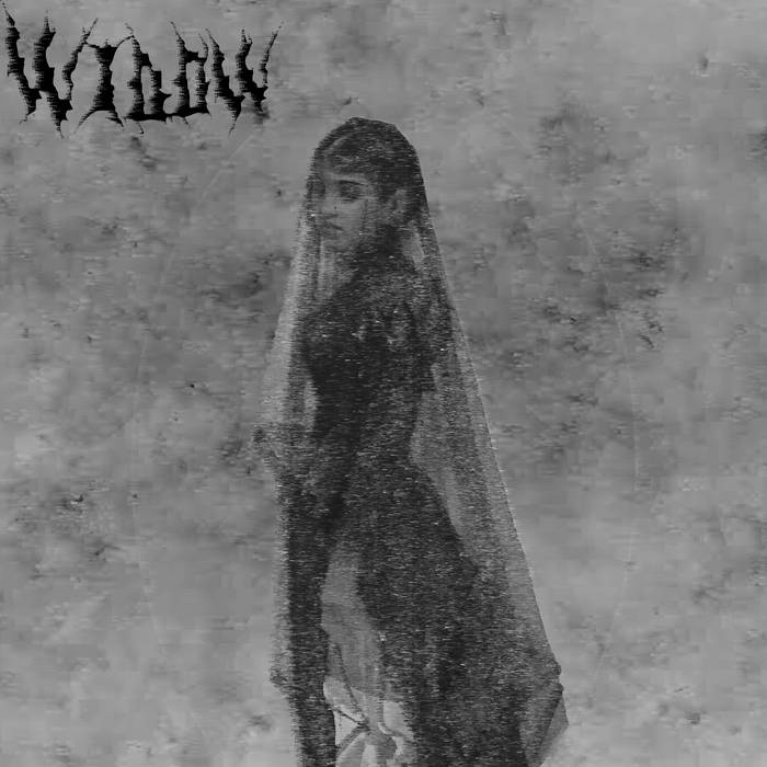 Widow by Julijus Smalinskas cover art