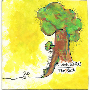 A Wonderful/ The Salt cover