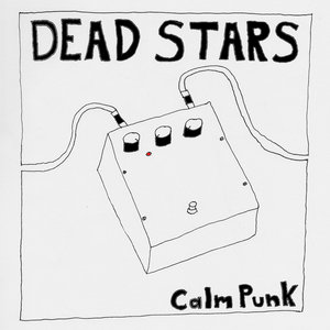 Calm Punk b/w Get Thru cover
