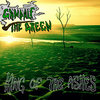 King of the Ashes