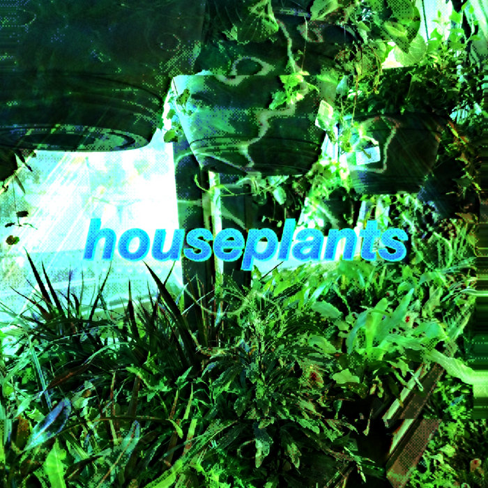 Houseplants | Mick Rudry | Agape Horizons