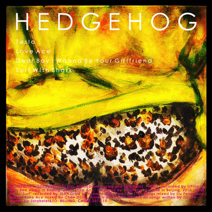 Dear Boy I Wanna Be Your Girlfriend Hedgehog Dear Boy I Wanna Be Your Girlfriend Hedgehog