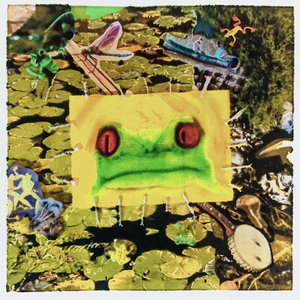 Leapfrog cover