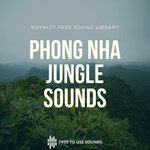 Nature Sounds | Rainforest Sounds Phong Nha National Park Vietnam
