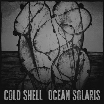 Cover of Ocean Solaris