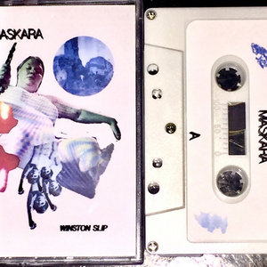 WINSTON SLIP cover