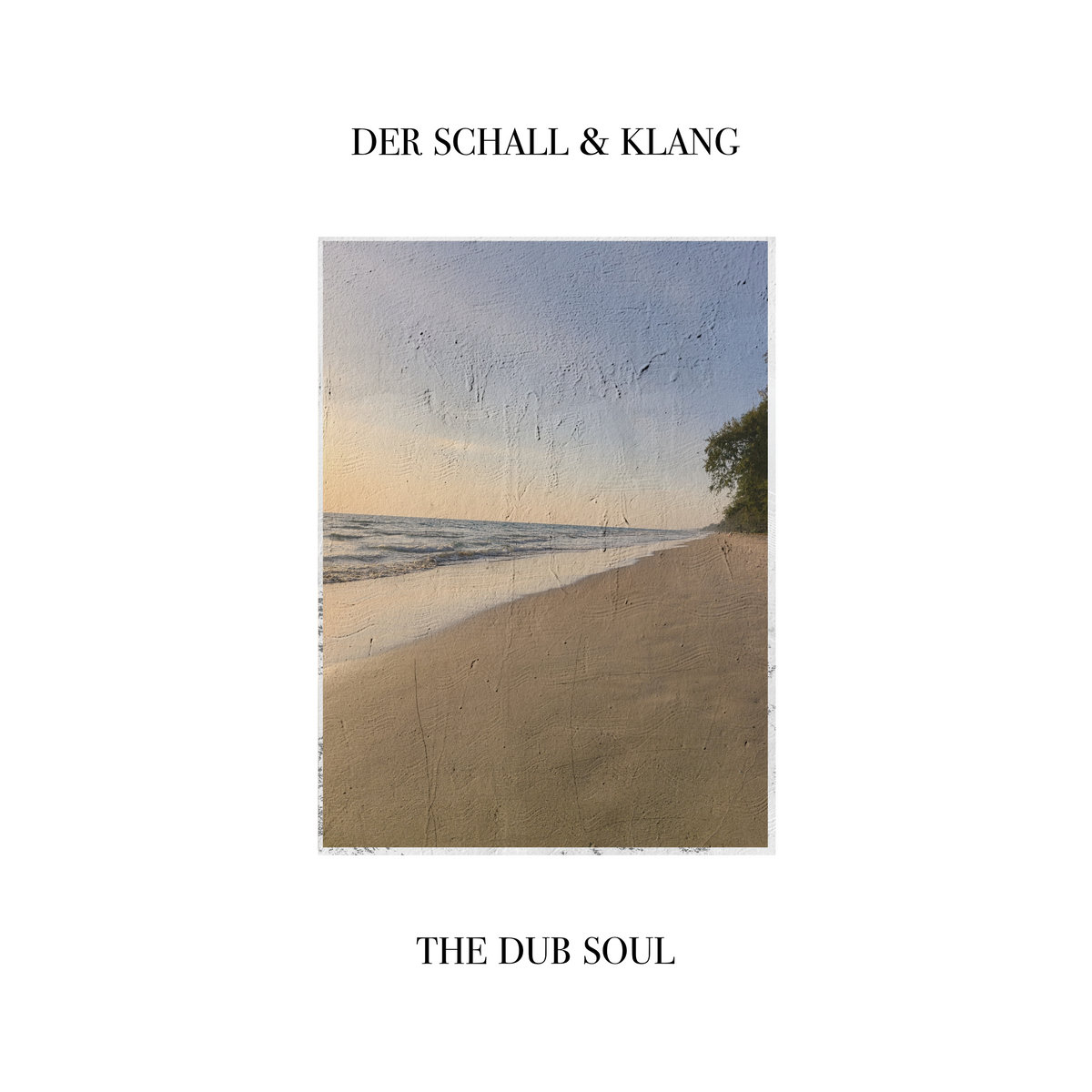 Summer Haze | Der Schall & Klang | insectorama