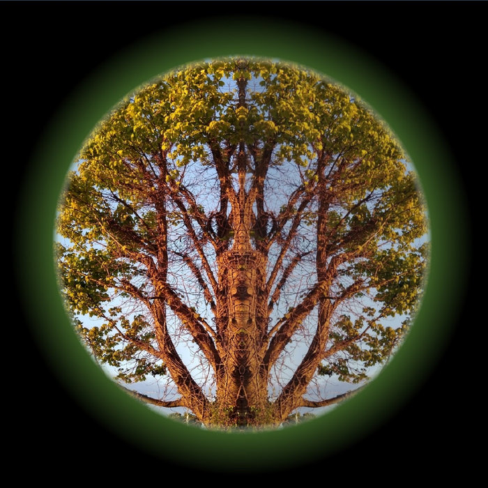 The Inkblot Tree (Free Download) | The Inkblot Tree