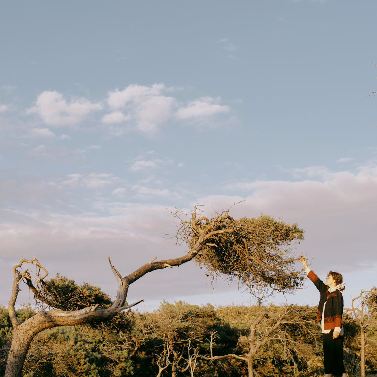 Magic Hour Sara Wolff