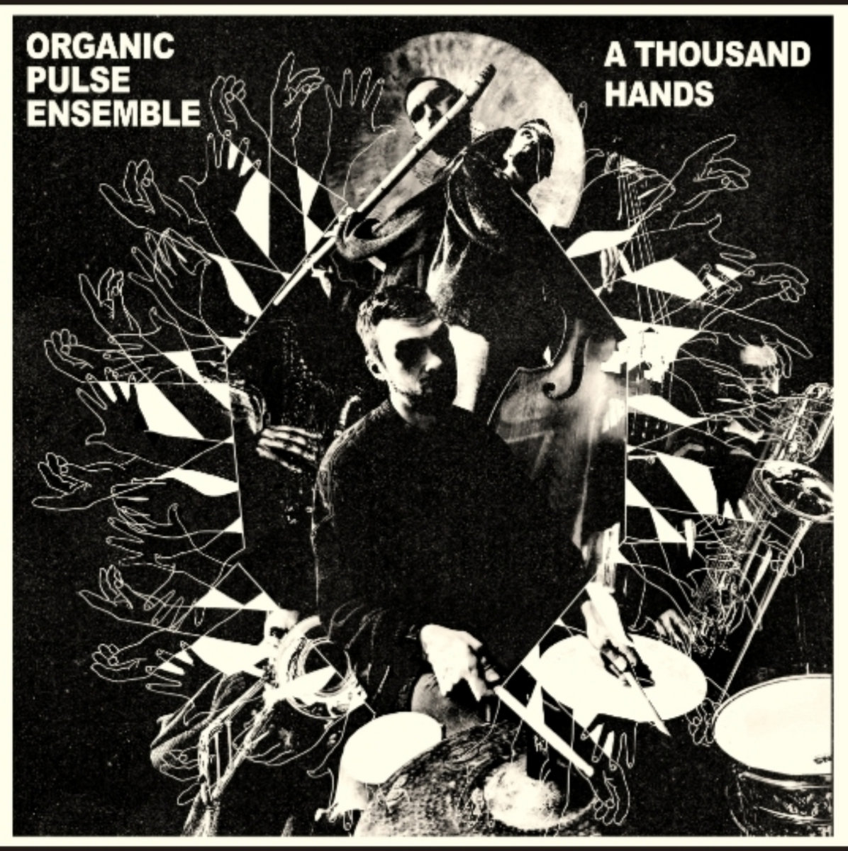 A Thousand Hands | Organic Pulse Ensemble | 2 Headed Deer