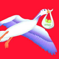 Bird Flu Riddim VIP cover art