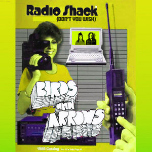 Radio Shack (Don't You Wish)Birds and Arrows cover