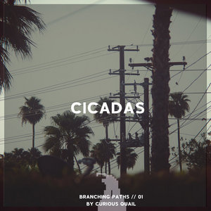 Cicadas cover