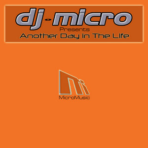 Another Day In The Life cover