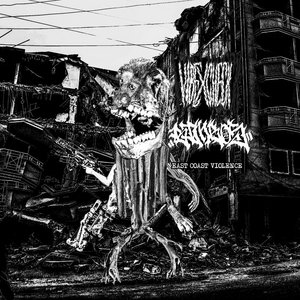 split w/ Vibe Check cover