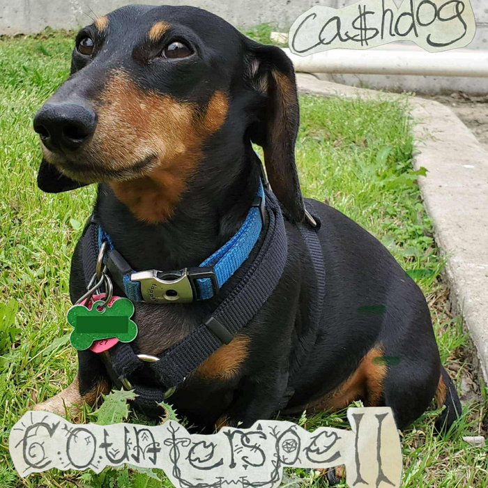 Ca$hdog | counterspelltx