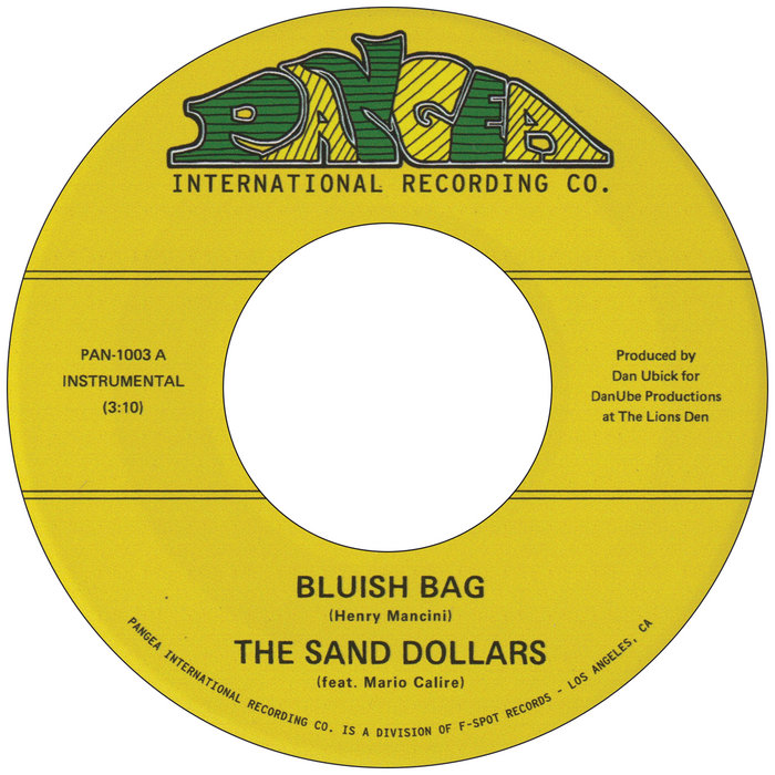 Pochette de Bluish Bag / Moon Goddess par The Sand Dollars