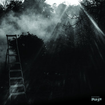 FOCUS 2.5 | Sensate Focus | Editions Mego