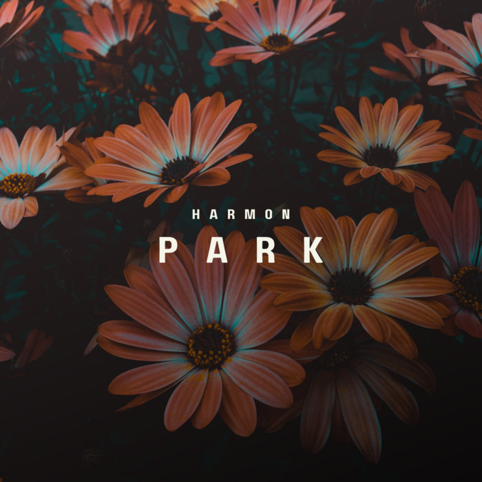 Harmon Park Bumpy Loop