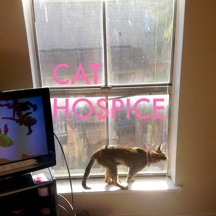 Cat Hospice Saint Naive