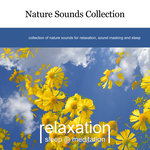 Nature Sounds Collection