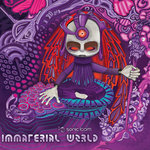 V.A. - Immaterial World