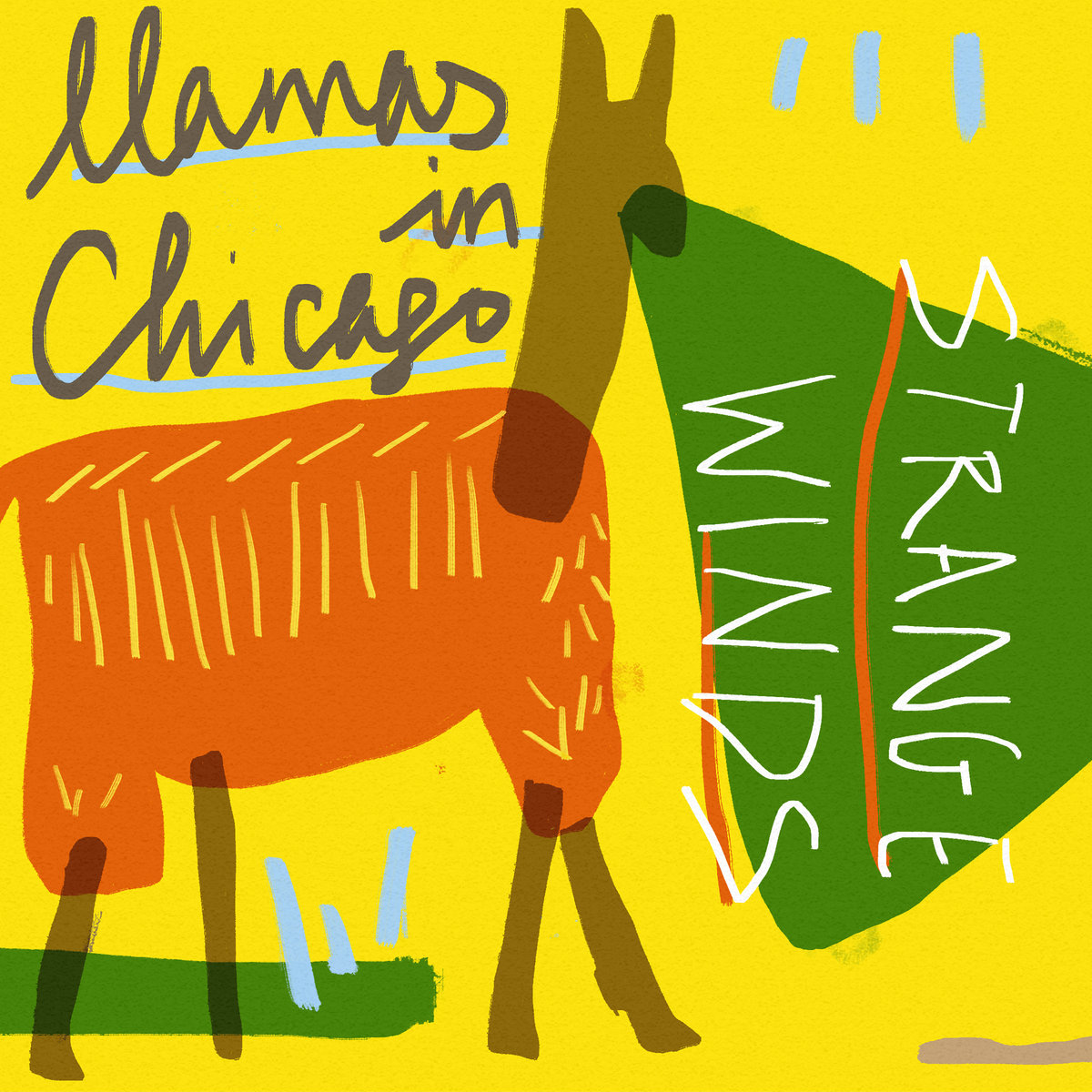 Llamas in Chicago