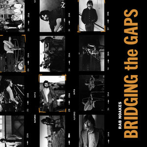 Bridging the Gaps cover