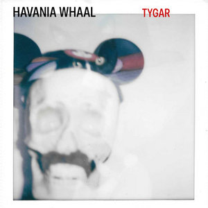Tygar cover