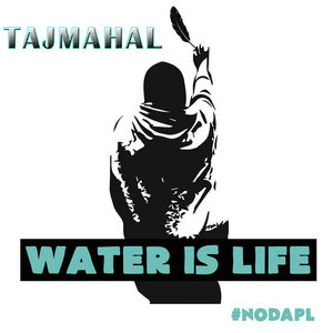 WATER IS LIFETAJMAHAL cover