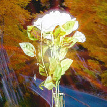 Unforgettable Moments cover art