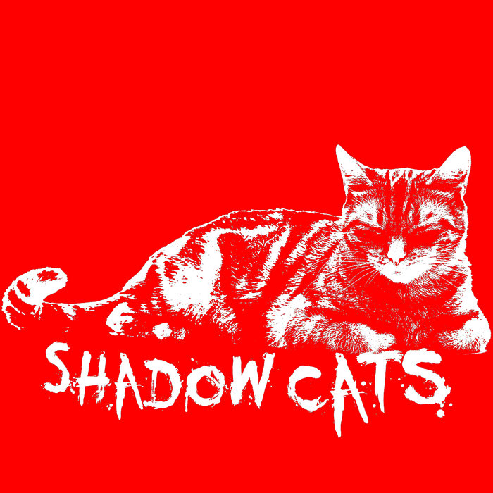 Cats demo