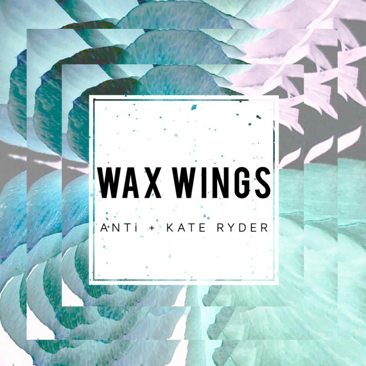 Wax Wings ANTi, Kate Ryder ANTi