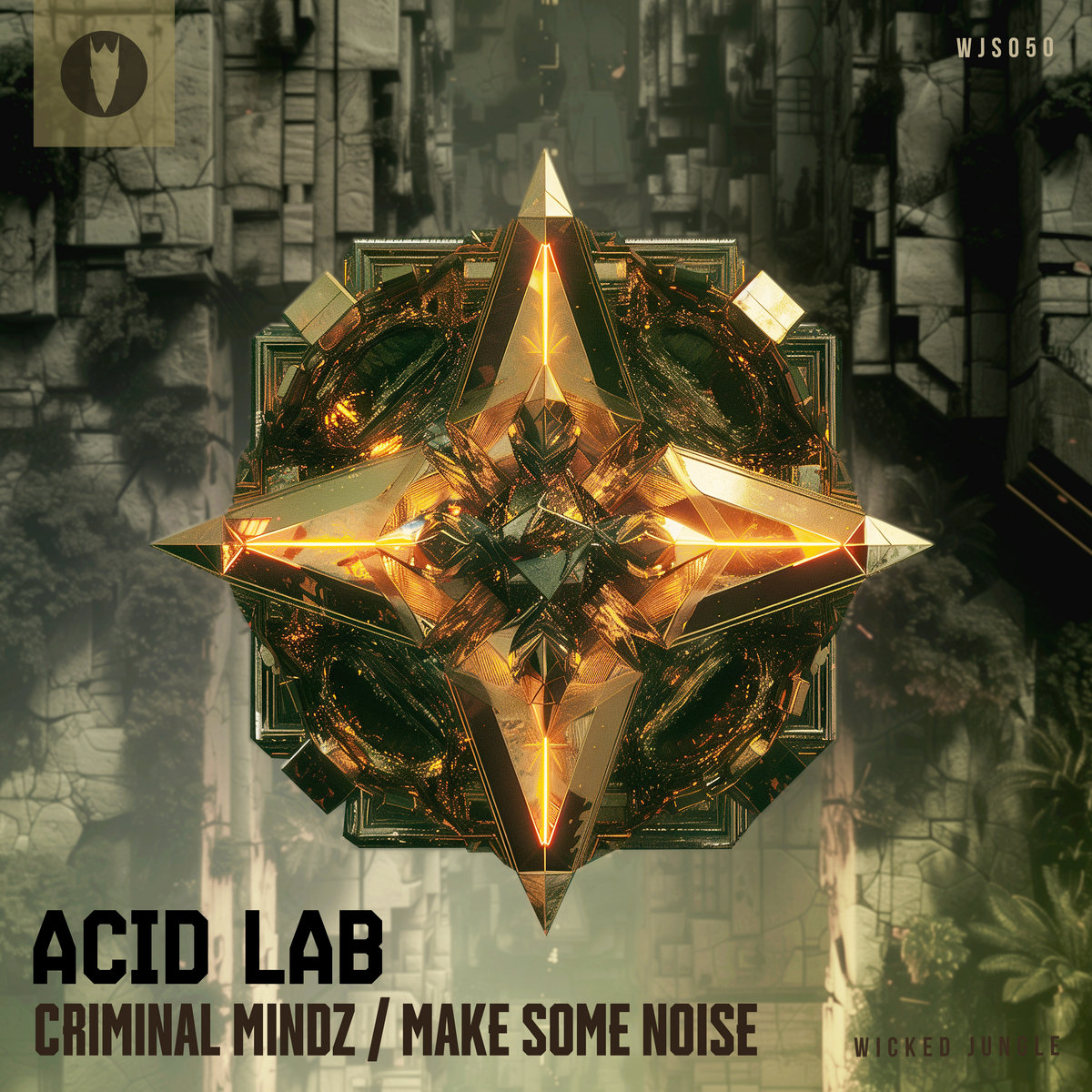 Acid Lab - Criminal Mindz/Make Some Noise