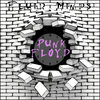 Punk Floyd Cover Art