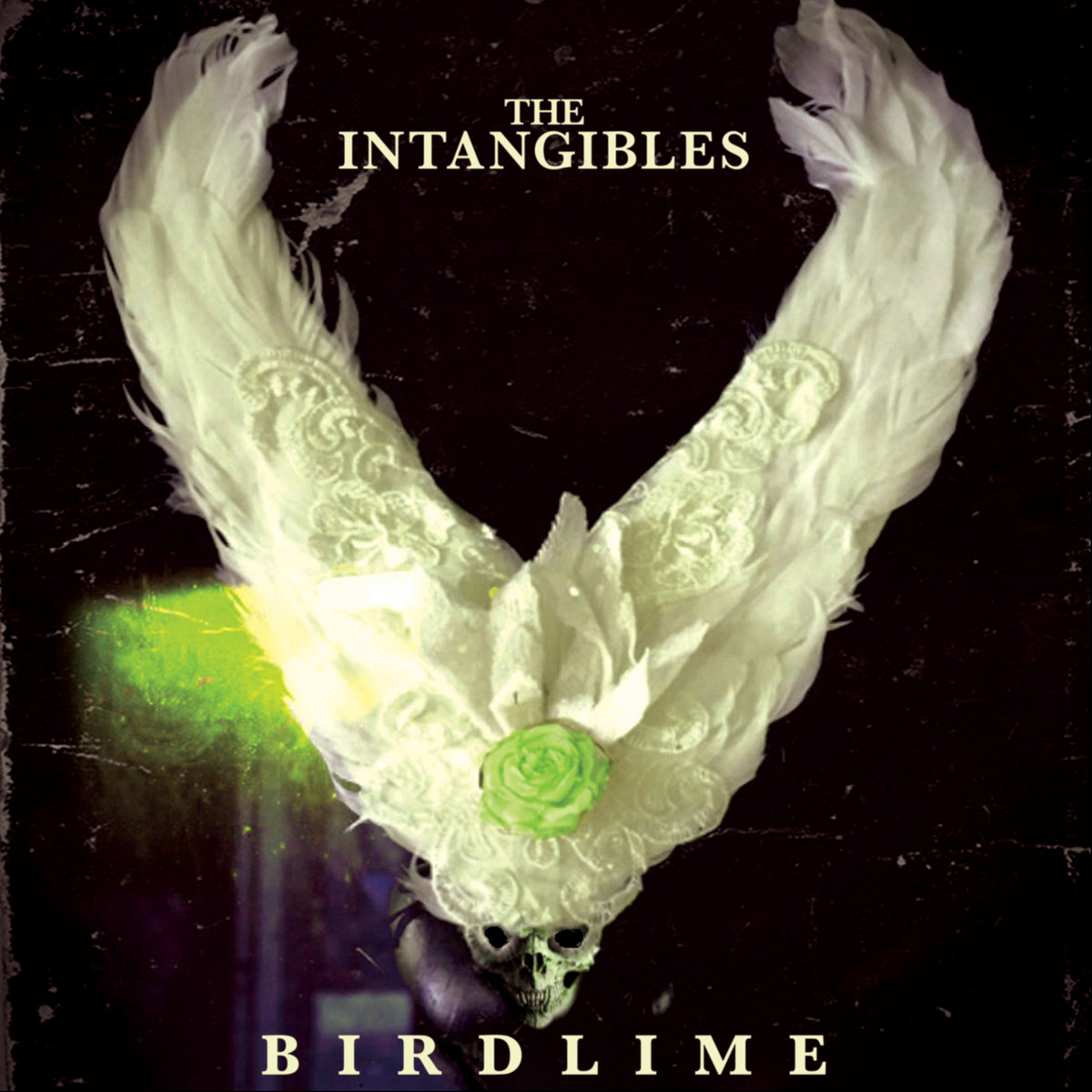 Birdlime | THE INTANGIBLES