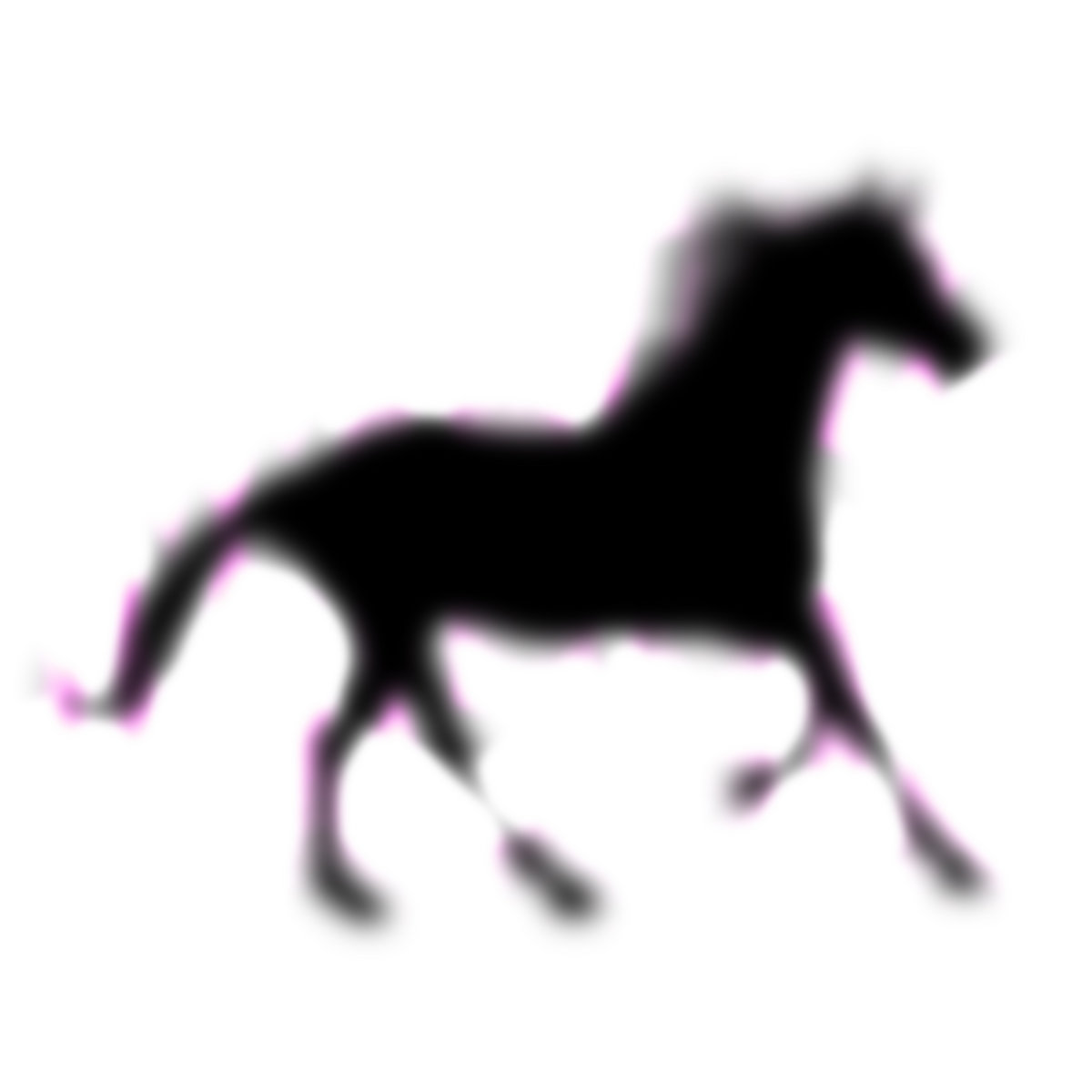 Another Life | Horse Vision