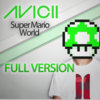 Super Mario World Levels